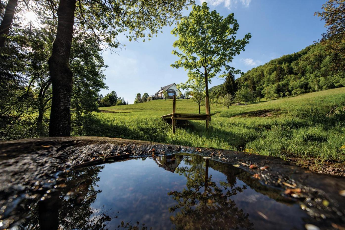 Na Kupcku Estate "Nature Reatreat & Wellness" Idrija Eksteriør bilde